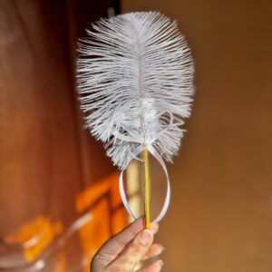 Fancy Feather Imported Pen (White Bow)