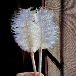 Simple Feather Pen